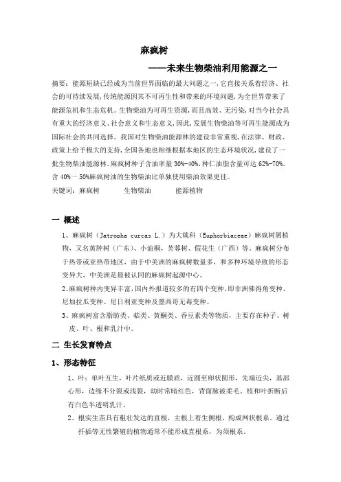 能源植物    麻疯树