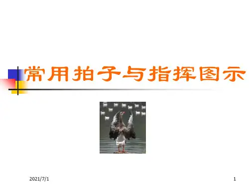常用拍子与指挥图示