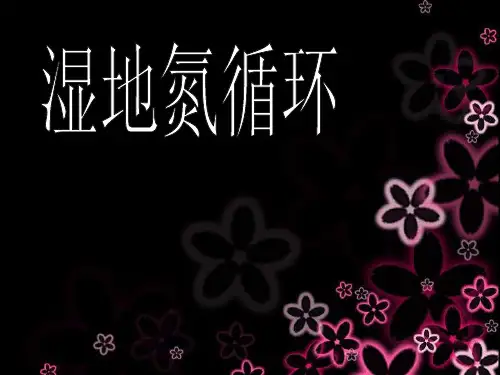 湿地氮循环