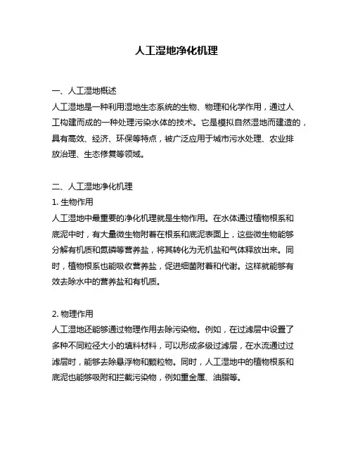 人工湿地净化机理