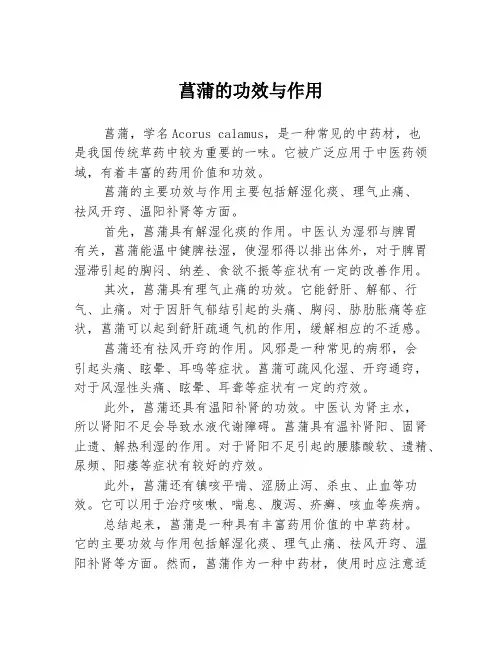 菖蒲的功效与作用