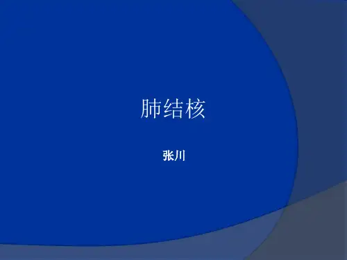 肺结核影像诊断ppt