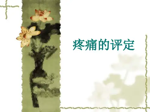 疼痛的评定_PPT课件