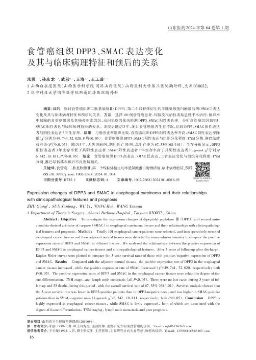 食管癌组织DPP3、SMAC_表达变化及其与临床病理特征和预后的关系