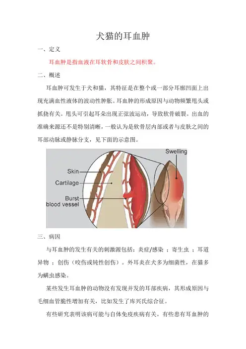 犬猫耳血肿的诊断与治疗