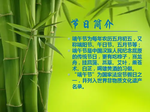 中国传统节日之端午节精美完整版ppt课件
