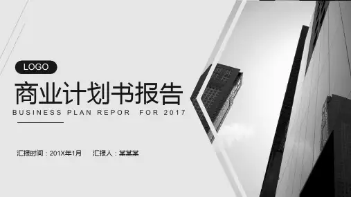 养生养老生态农业项目计划书ppt