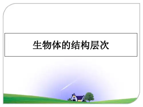 最新生物体的结构层次ppt课件