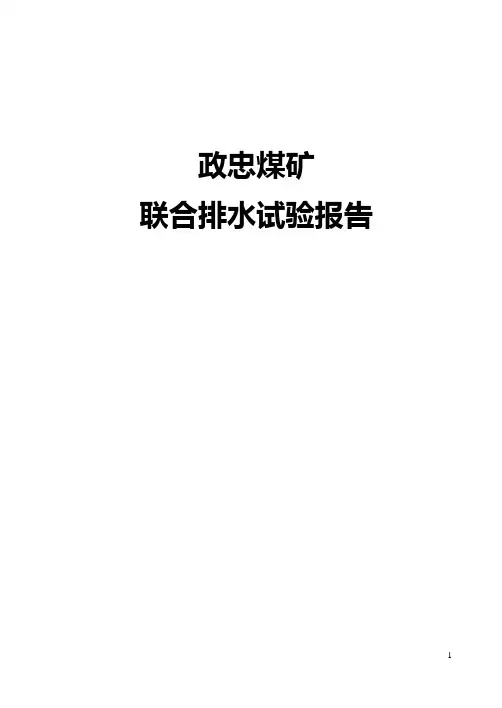 联合排水试验报告