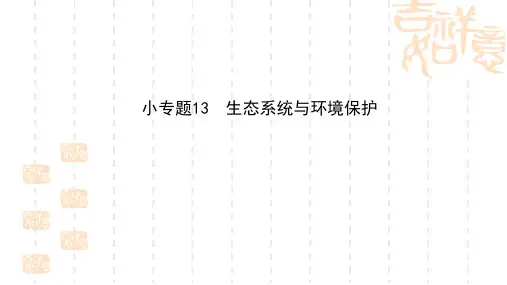 高考生物二轮专题配套ppt课件：5.13生态系统与环境保护