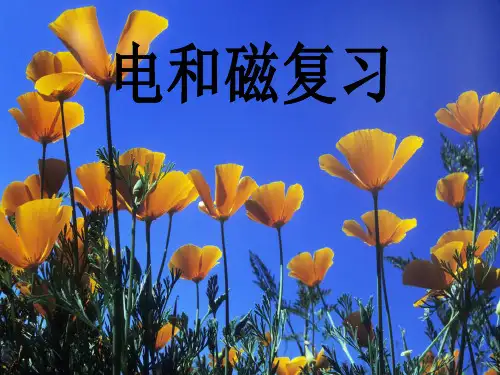 电和磁复习 ppt课件