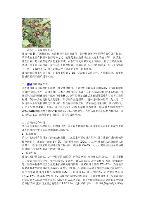 油茶加工工艺[详解]