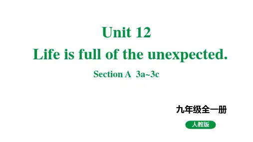人教新目标版九全英语 Unit12 SectionA 3a~3c 教学课件