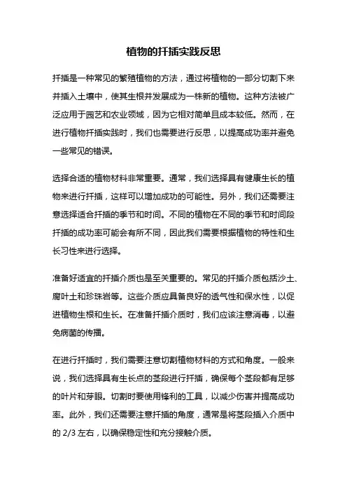 植物的扦插实践反思