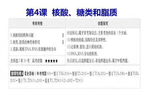 2018高三生物一轮复习核酸、糖类和脂质