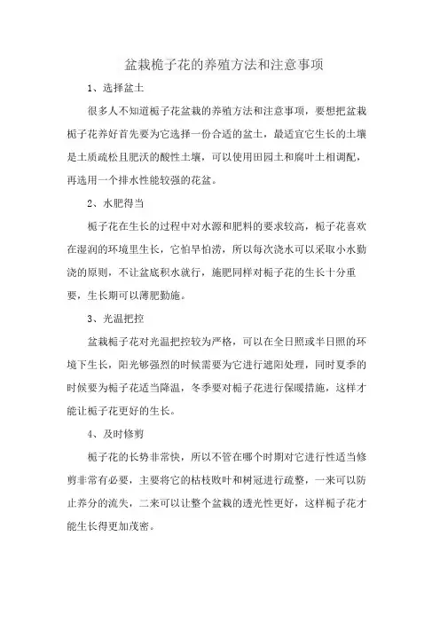 盆栽桅子花的养殖方法和注意事项