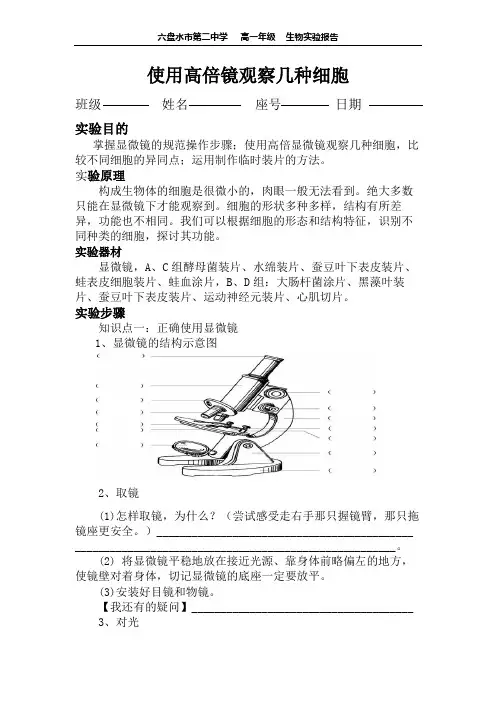 使用高倍显微镜观察几种细胞实验报告.doc