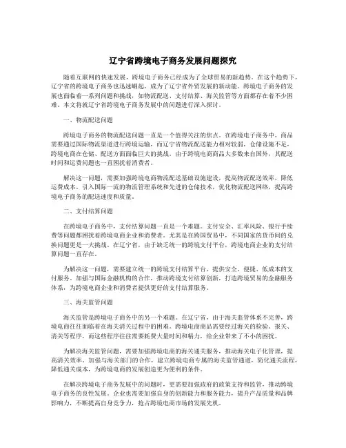 辽宁省跨境电子商务发展问题探究