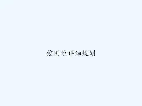控制性详细规划 PPT