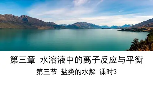 3.3.3溶液中的三大守恒及离子浓度比较课件高二上学期化学人教版选择性必修1