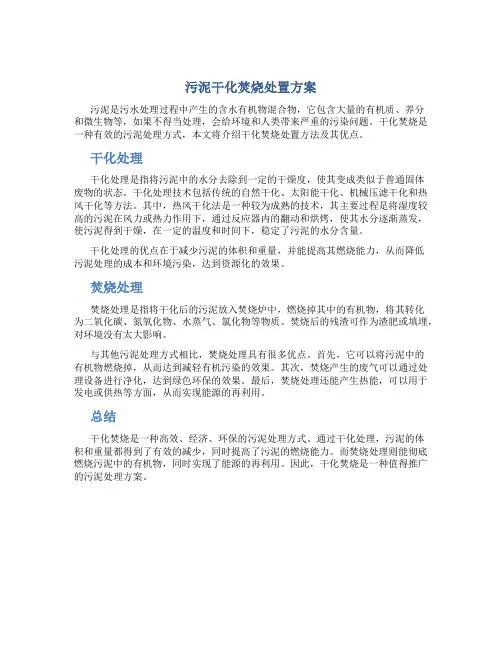 污泥干化焚烧处置方案