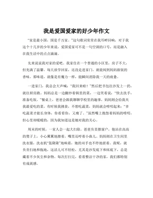 我是爱国爱家的好少年作文