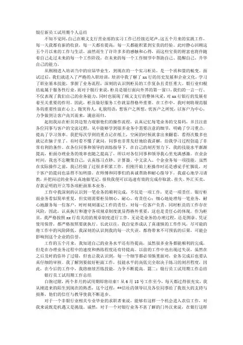 银行员工试用期工作总结 2