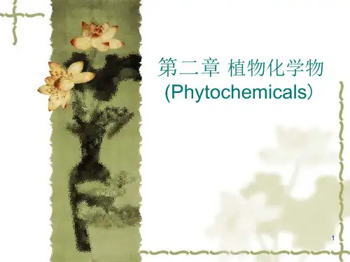 植物化学物PhytochemicalPPT课件