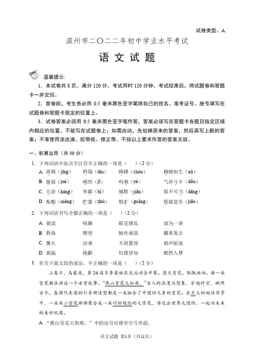 2022年山东省滨州市中考语文试题(含答案解析)