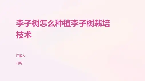 李子树怎么种植李子树栽培技术