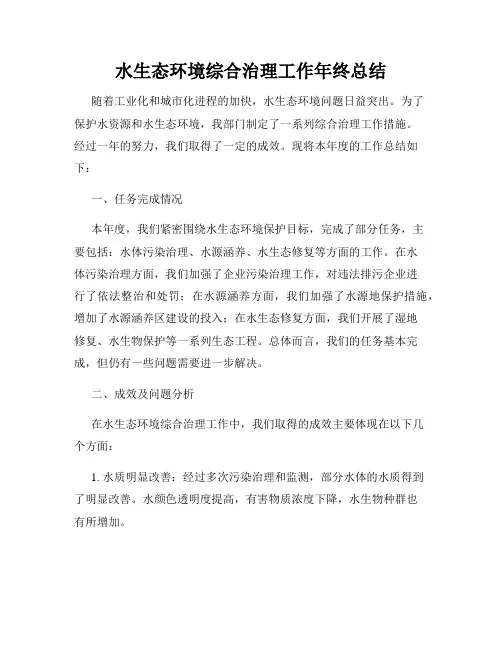 水生态环境综合治理工作年终总结