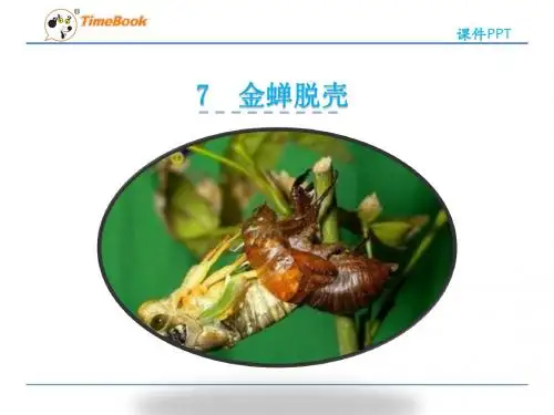 7 金蝉脱壳