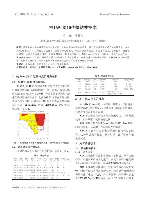 桩169-斜10优快钻井技术