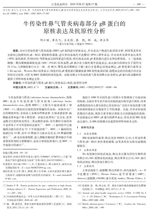 牛传染性鼻气管炎病毒部分gB蛋白的原核表达及抗原性分析