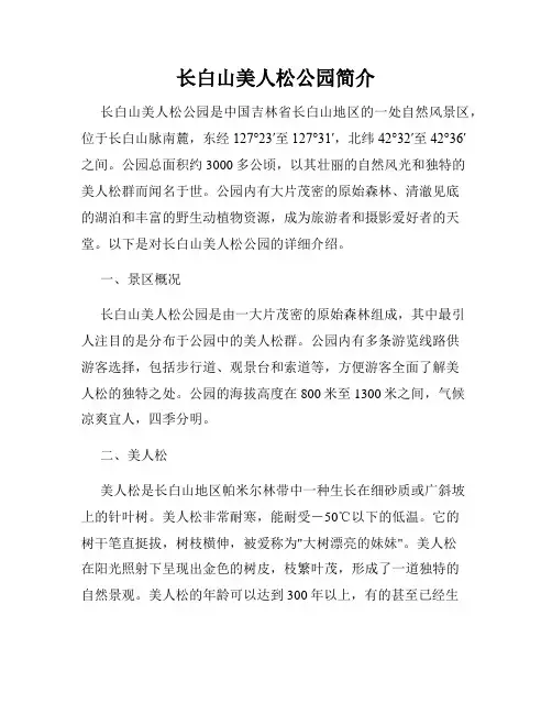 长白山美人松公园简介