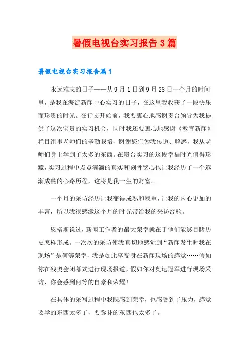 (word版)暑假电视台实习报告3篇