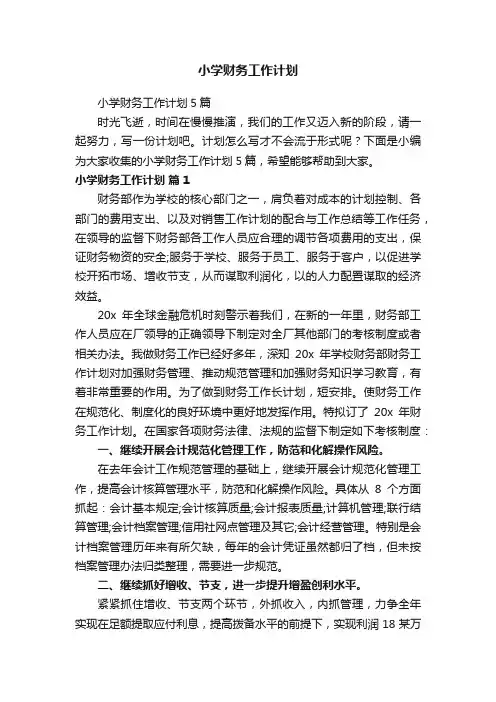 小学财务工作计划