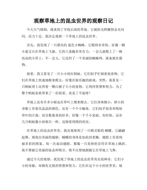 小学三年级作文观察草地上的昆虫世界的观察日记