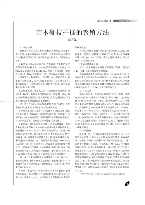 苗木硬枝扦插的繁殖方法