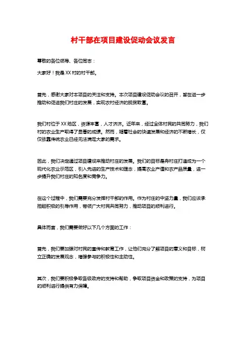 村干部在项目建设促动会议发言