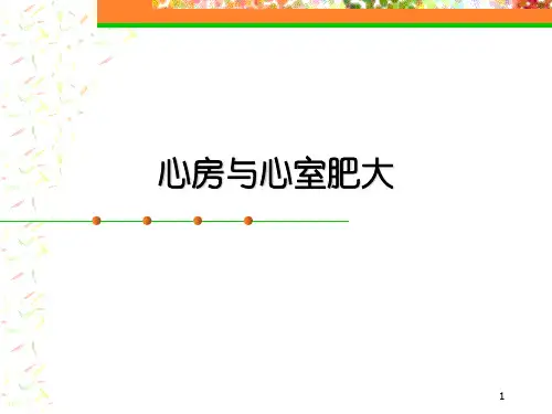 心房与心室肥大PPT课件