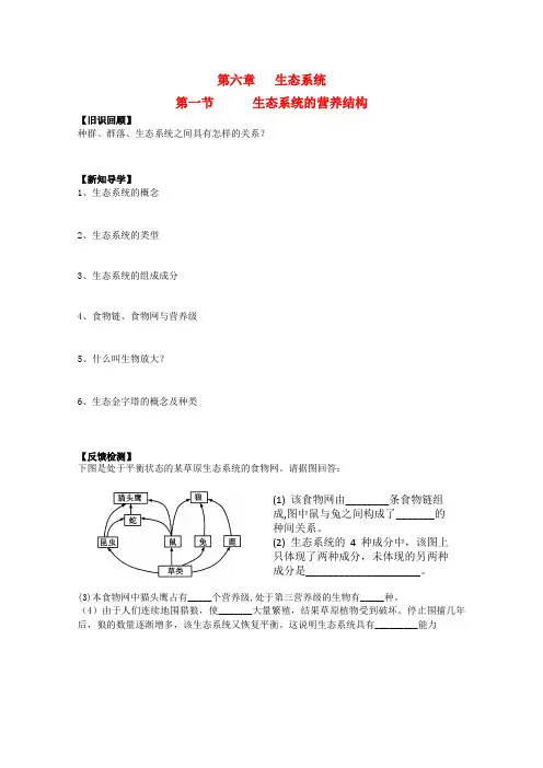 高中生物 第6章《生态系统》学案(1) 浙科版必修3