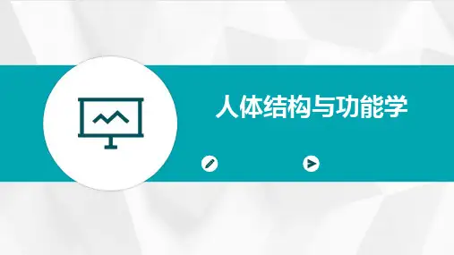 人体结构与功能学
