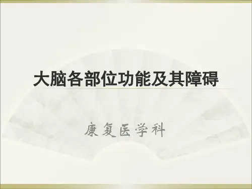 大脑各部位功能及障碍