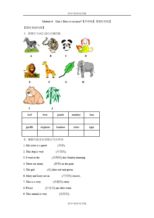 外研版-英语-七上-外研版Module6 A Trip to the zoo 1单元 课时训练