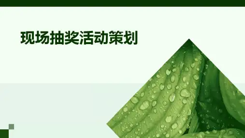 现场抽奖活动策划PPT