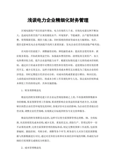 浅谈电力企业精细化财务管理