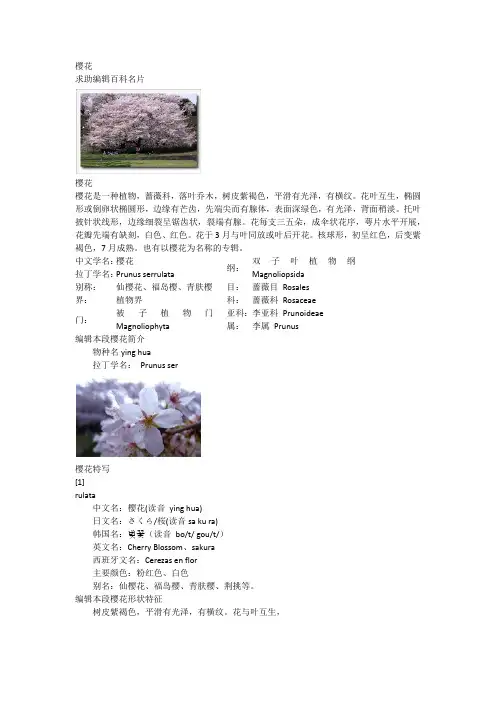 樱花