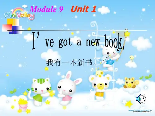 三年级下册M9 U1 I've got a new book