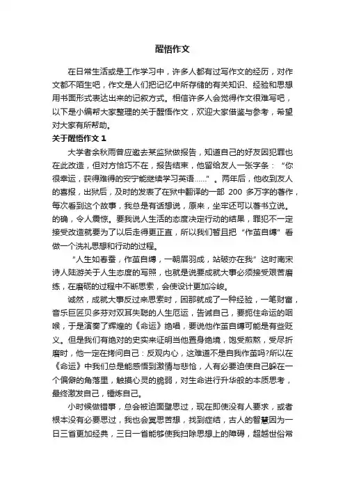 关于醒悟作文6篇